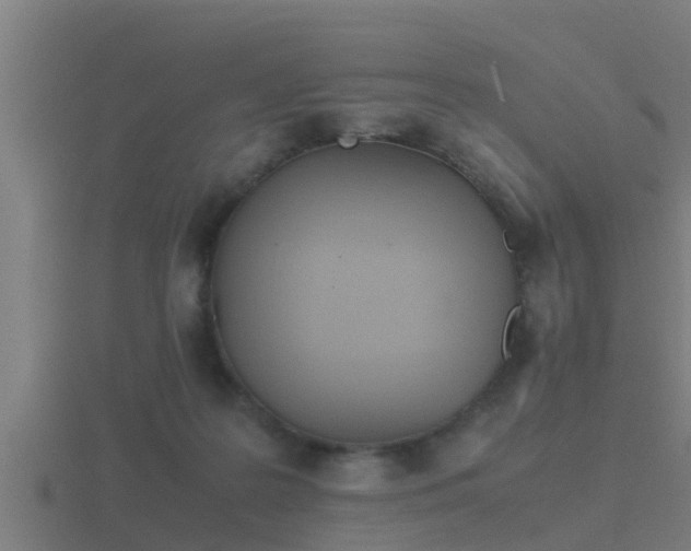 X0000116840219200912241235