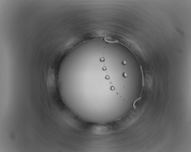 X0000116840220200912241235