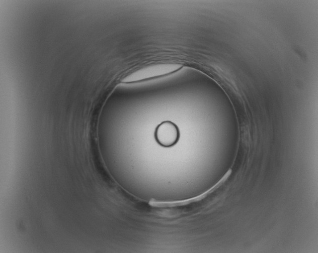 X0000116840221200912241235