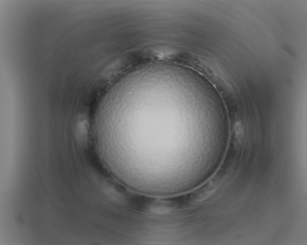 X0000116840222200912241235