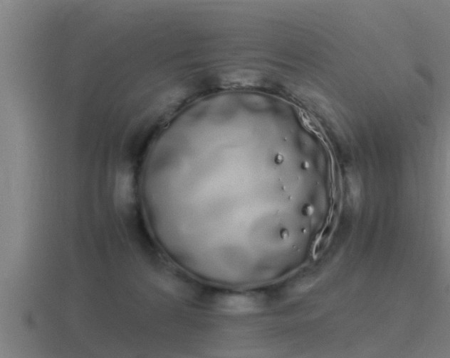 X0000116840224200912241234