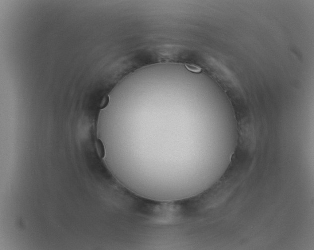 X0000116840225200912241234