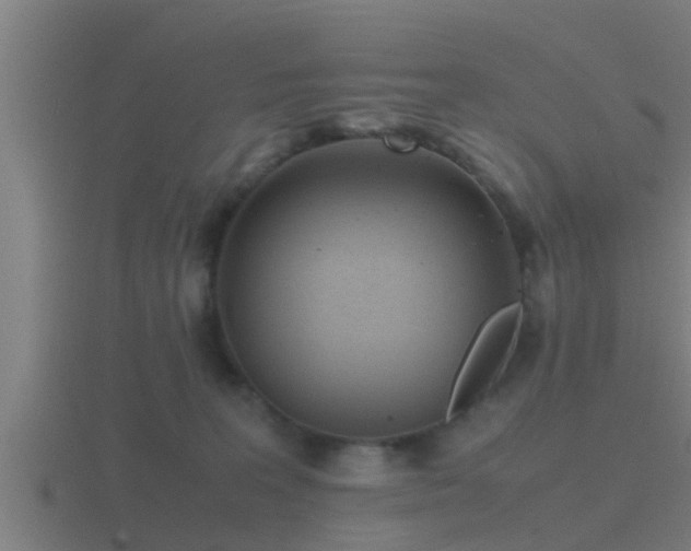 X0000116840227200912241234