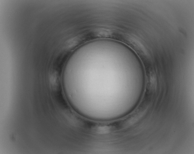 X0000116840228200912241234