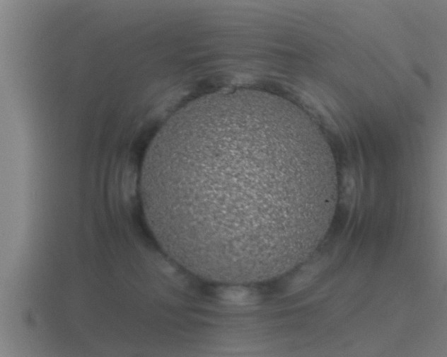 X0000116840230200912241234