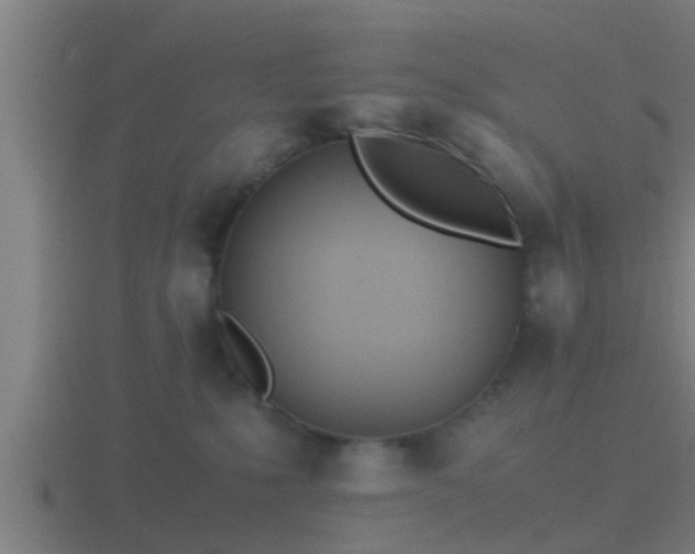 X0000116840231200912241234