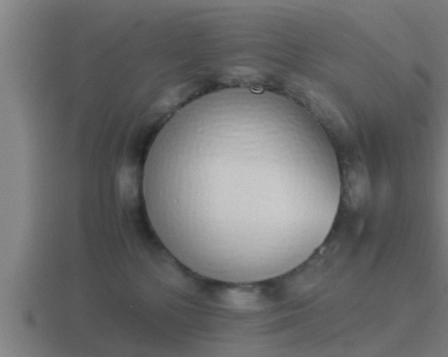 X0000116840232200912241234