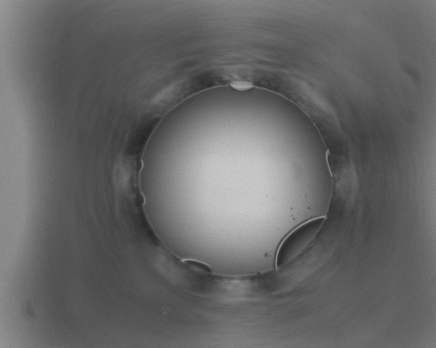 X0000116840233200912241234