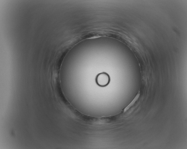 X0000116840235200912241234