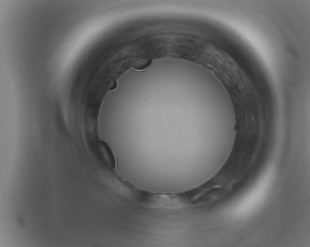 X0000116840239200912241234