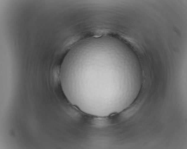 X0000116840240200912241234