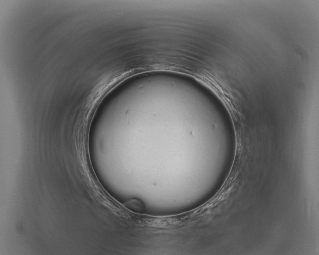 X0000116840241200912241234