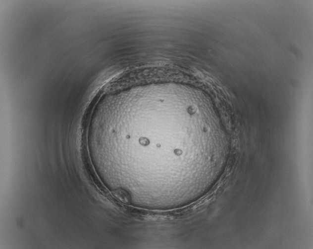 X0000116840242200912241234