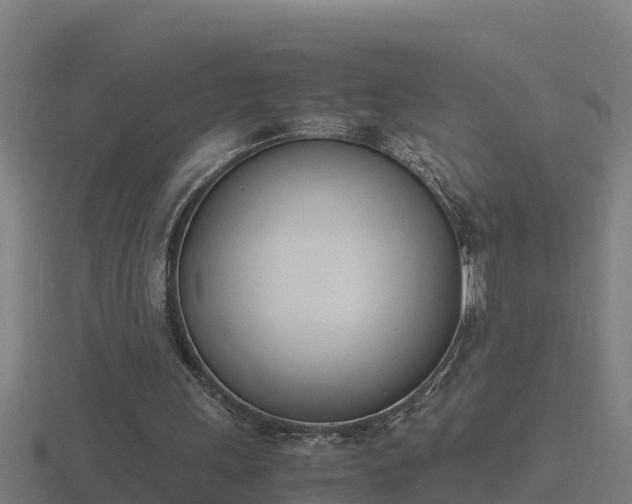 X0000116840243200912241234