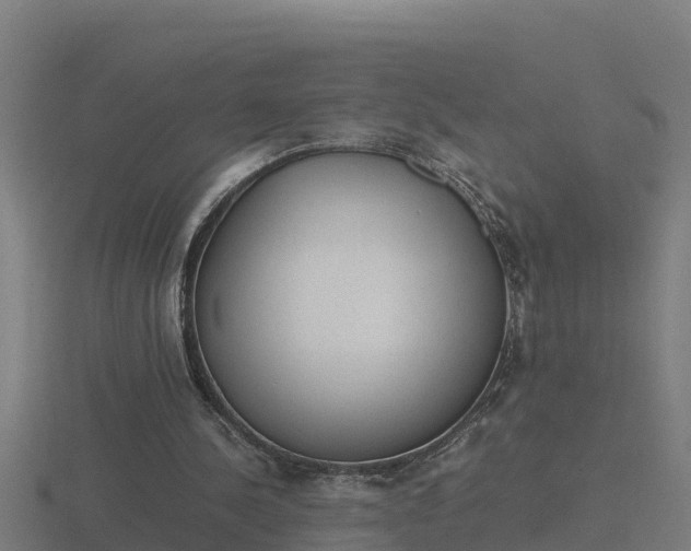 X0000116840244200912241234