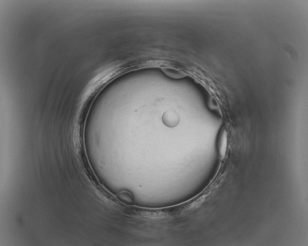 X0000116840245200912241234