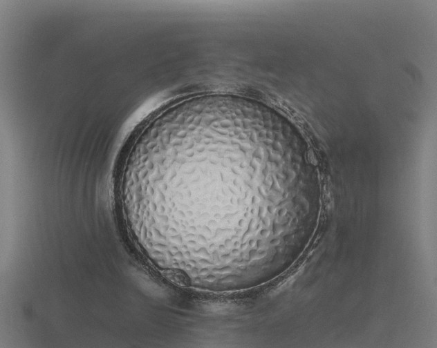 X0000116840246200912241234