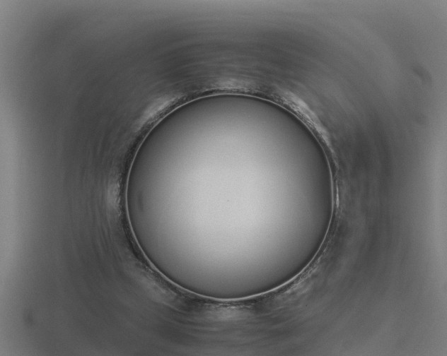 X0000116840249200912241234