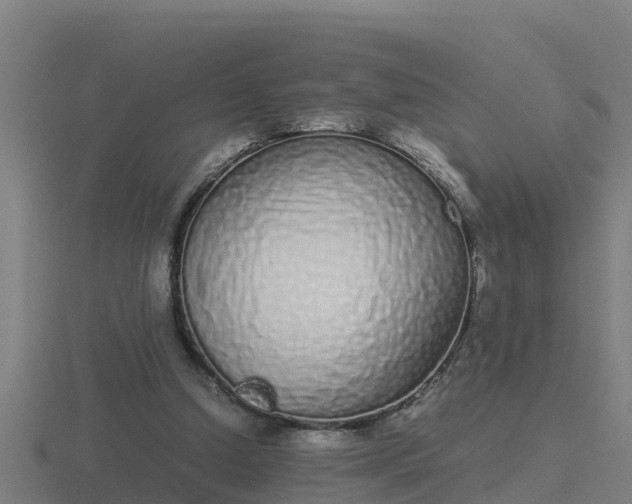 X0000116840250200912241234