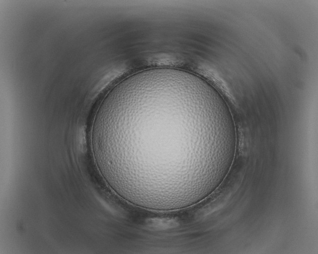 X0000116840251200912241234