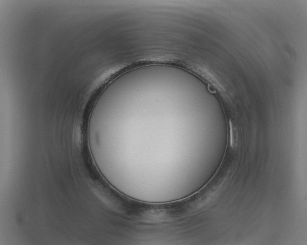 X0000116840252200912241234