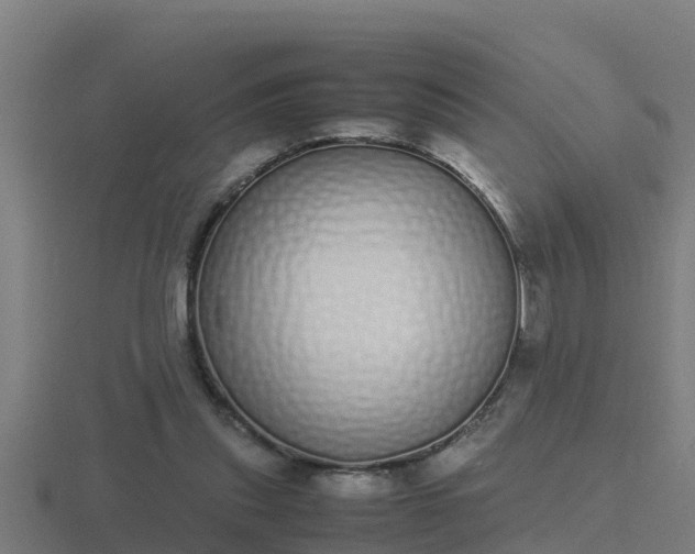 X0000116840253200912241234