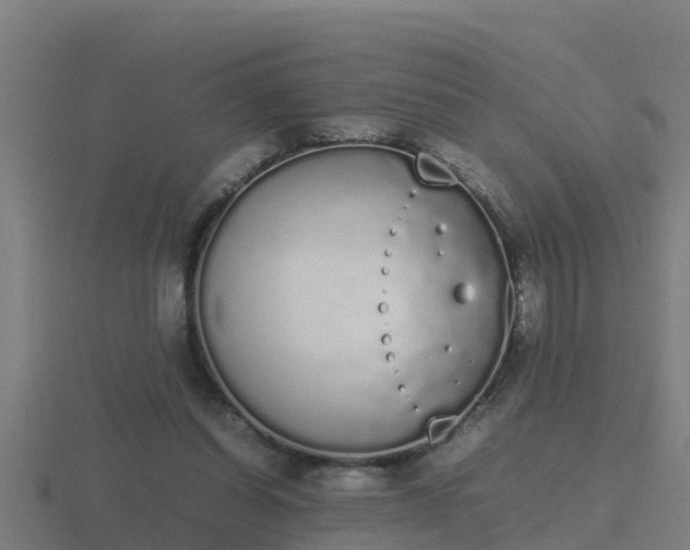 X0000116840254200912241234