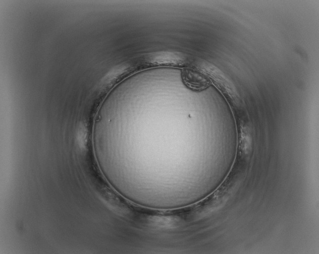 X0000116840255200912241234