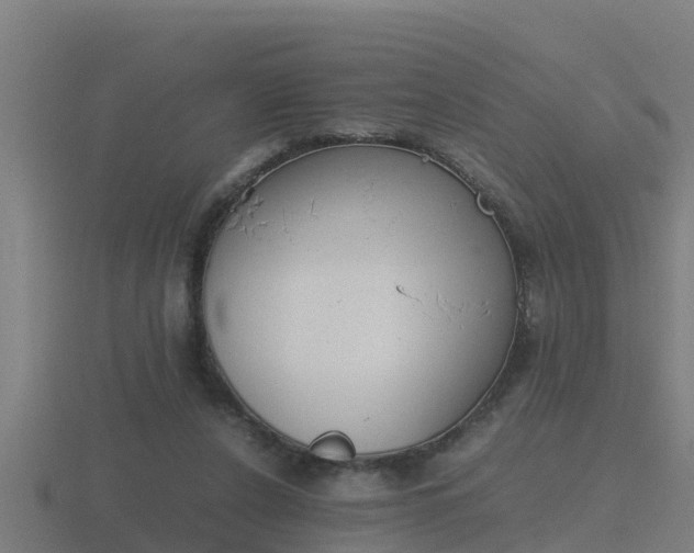 X0000116840256200912241234