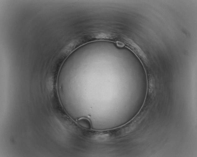 X0000116840257200912241234