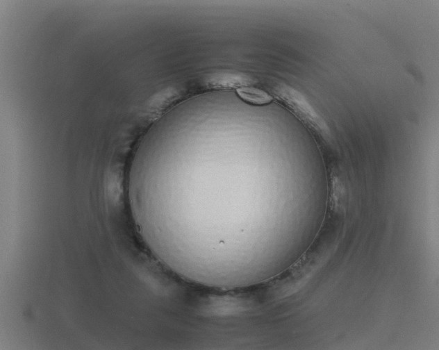 X0000116840259200912241234