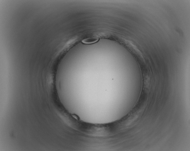 X0000116840260200912241234