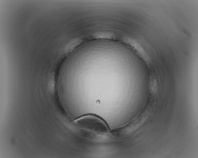 X0000116840261200912241234