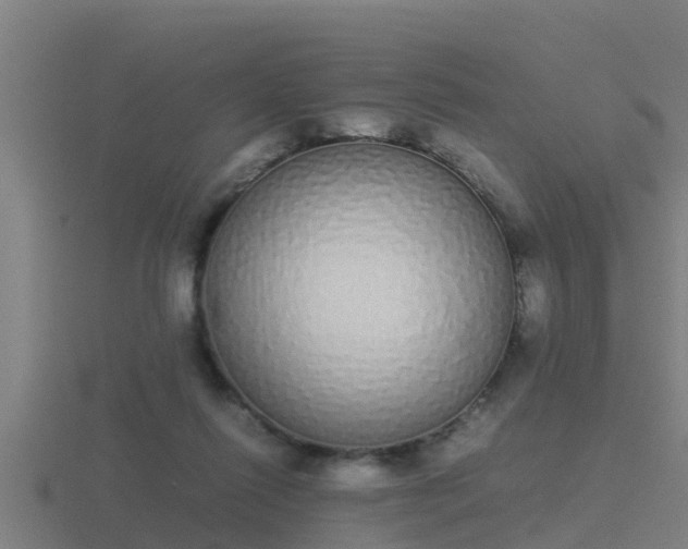 X0000116840262200912241234