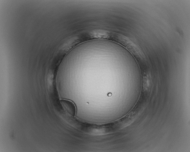 X0000116840263200912241234