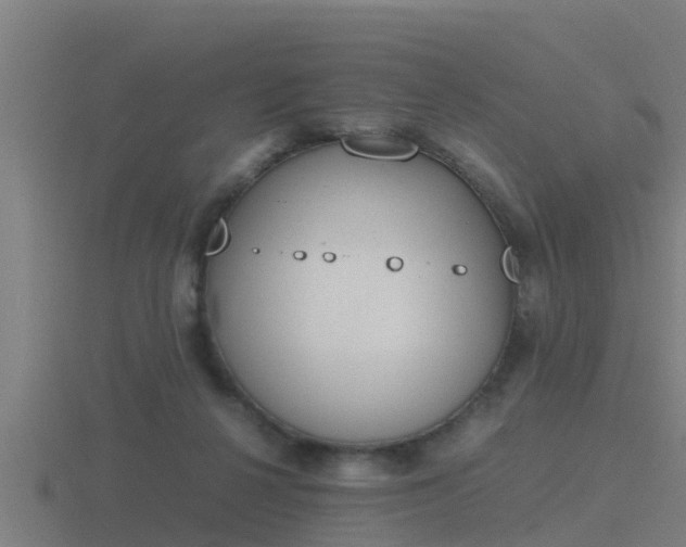 X0000116840264200912241234