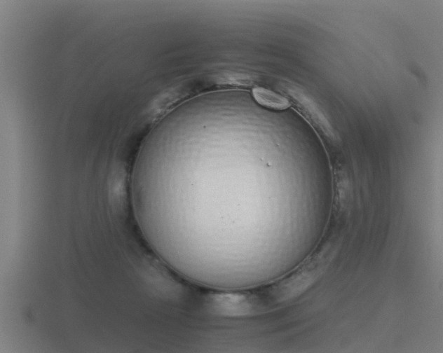 X0000116840265200912241234