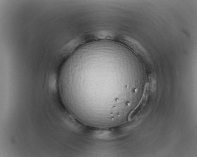 X0000116840266200912241234