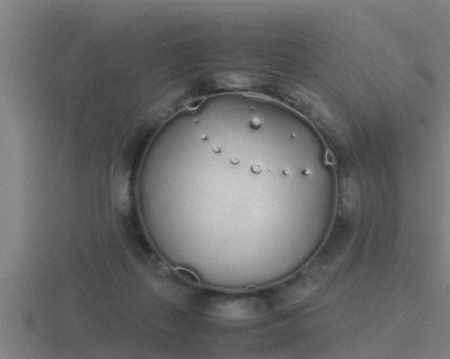 X0000116840267200912241234