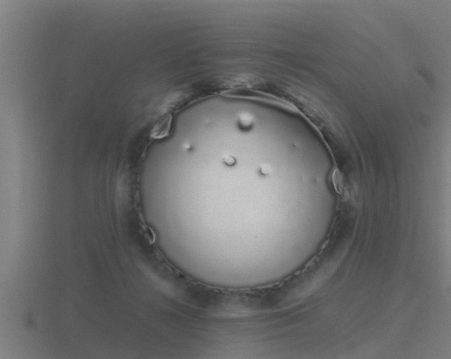 X0000116840268200912241234