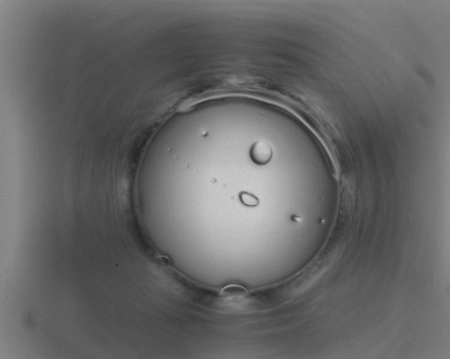 X0000116840269200912241234