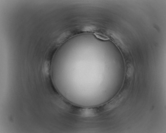 X0000116840273200912241234