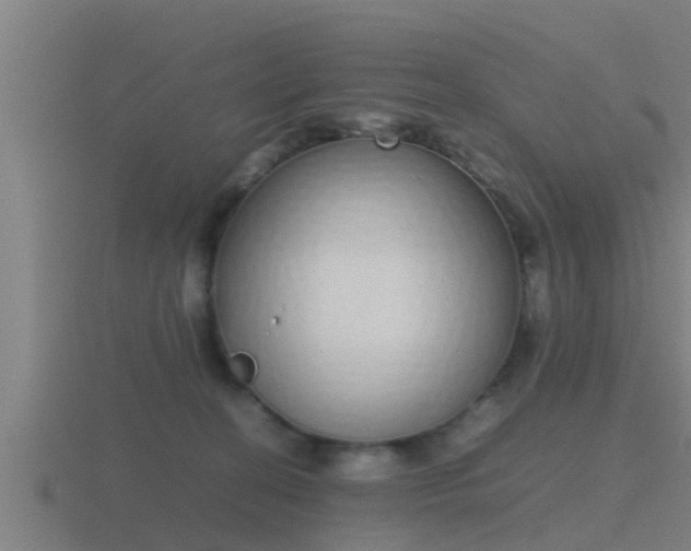 X0000116840274200912241234