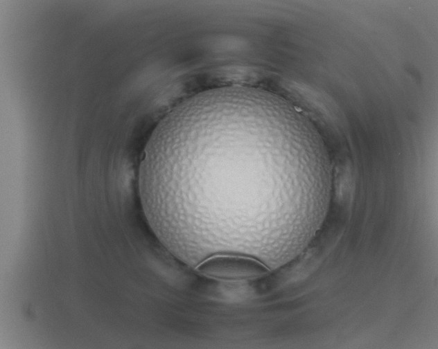 X0000116840279200912241234