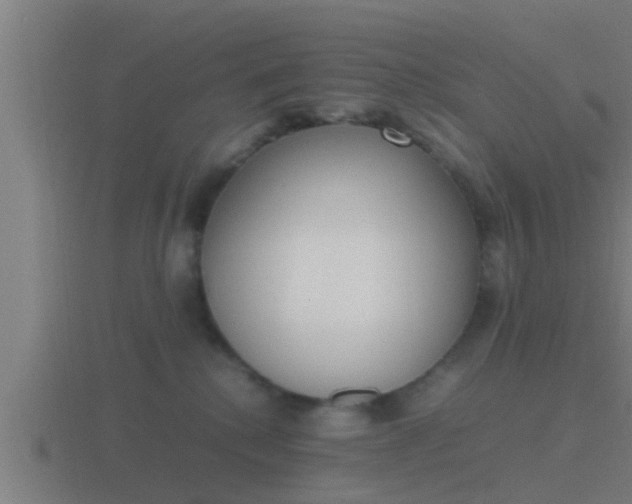 X0000116840280200912241234