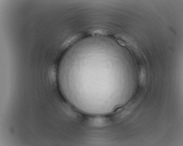 X0000116840282200912241234