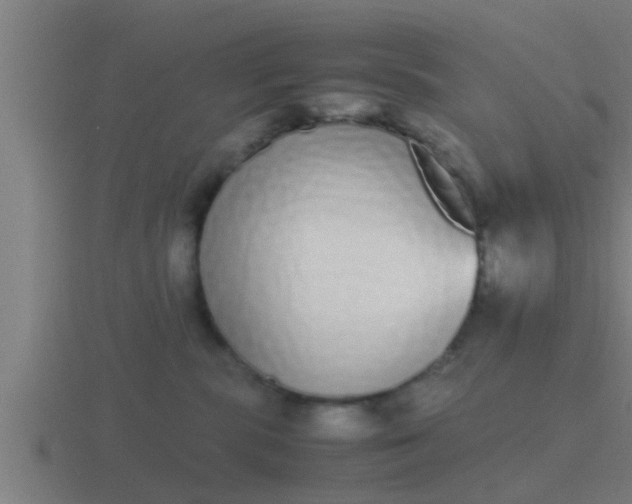 X0000116840283200912241234