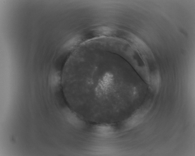 X0000116840284200912241234