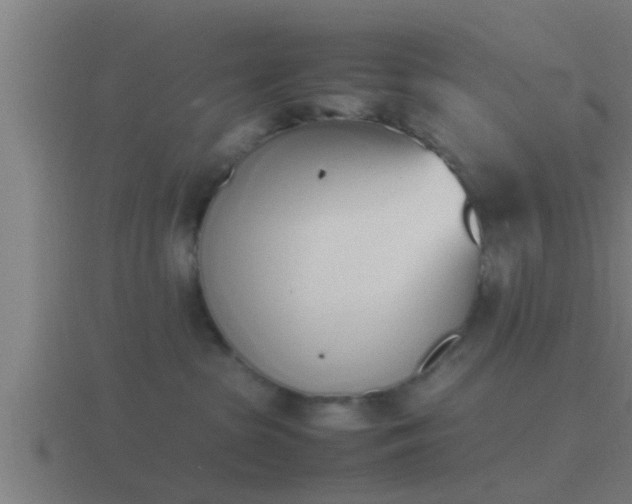 X0000116840285200912241234