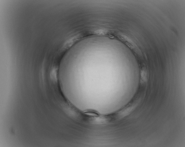 X0000116840286200912241234